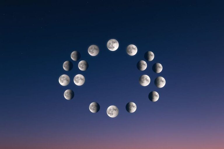 Representação visual das fases da Lua, do Novo ao Cheio.