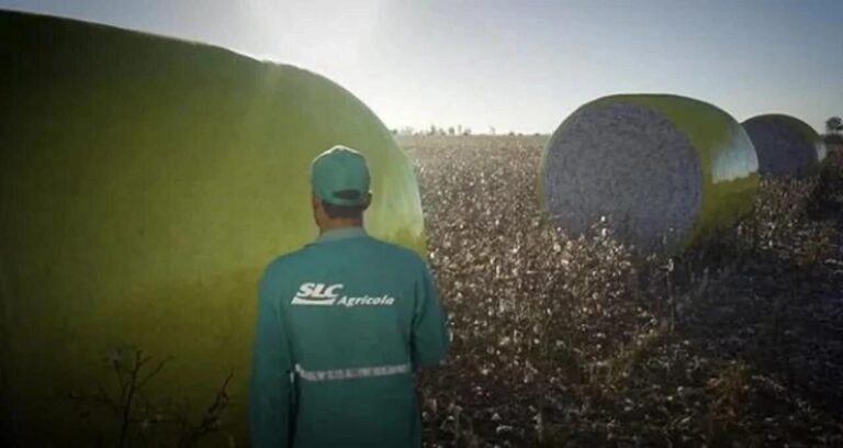 SLC Agrícola (SLCE3) Anuncia Pagamento de R$ 380 Milhões em Dividendos Intercalares e JCP: Veja Datas e Valores