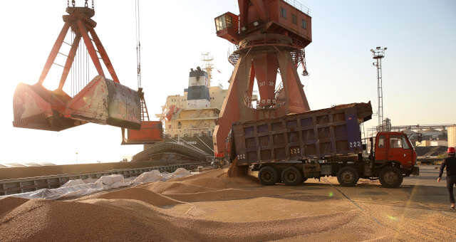 Exportação de Soja do Brasil para a China Deve Cair 11% em 2026 com Retomada dos EUA, Prevé Anec