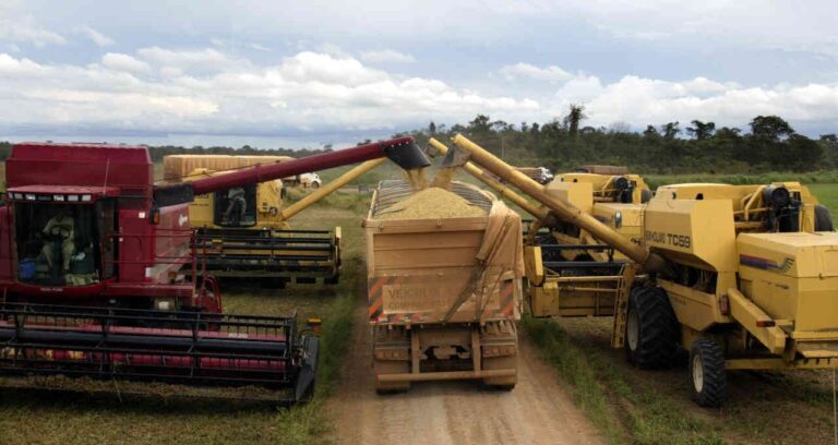 Bradesco: Plataforma E-agro projeta alta de 25% no crédito rural em 2026 após dobrar volume em 2025