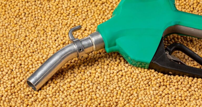 Óleo de Soja Dispara na Bolsa de Chicago com Demanda Doméstica Forte e Impulso do Biodiesel nos EUA