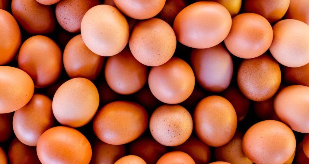 Warburg Pincus Investe Até US$ 1 Bilhão na Global Eggs, Elevando Avaliação da Empresa a US$ 8 Bilhões