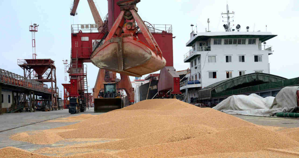 Exportação de Soja do Brasil em Março: Anec Prevé Recorde, Mas Alerta para Riscos da Guerra e Volatilidade do Mercado
