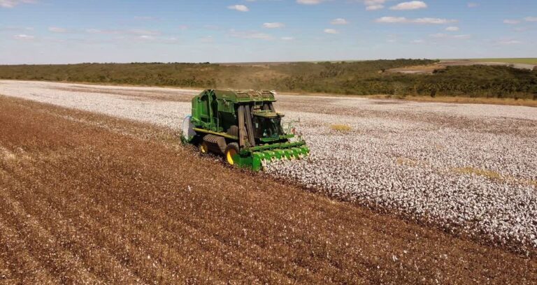SLC Agrícola (SLCE3) Aumenta Prejuízo em 4T23: Entenda os Fatores e o Impacto no Mercado Agrícola