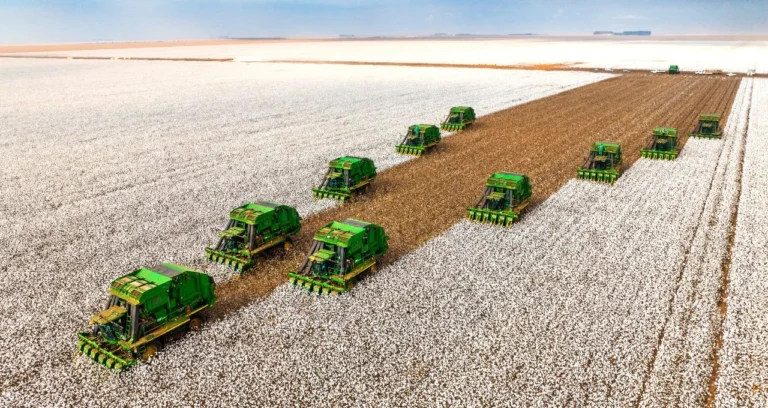 Guerra no Oriente Médio: Após petróleo, commodities agrícolas podem ser o próximo alvo; entenda como investir