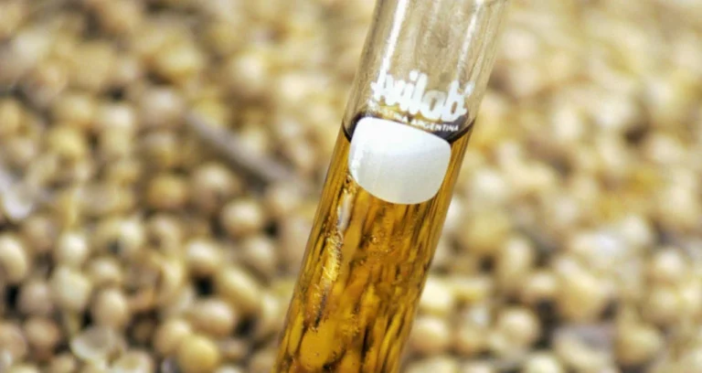 Governo Acelera Testes para Biodiesel 20% e Nova Aliança Busca Impulsionar Uso de Biocombustíveis no Brasil