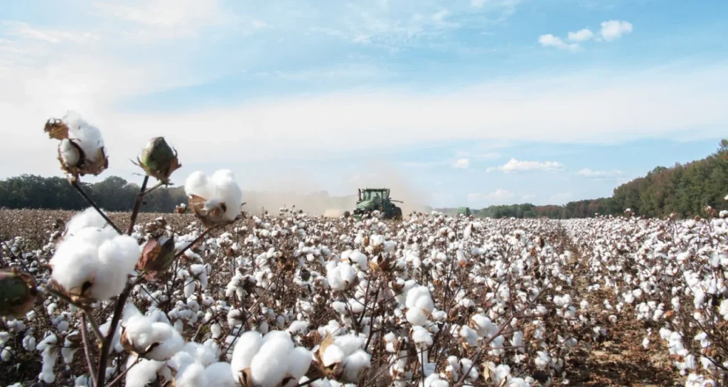 BrasilAgro (AGRO3) Rescinde Venda de Fazenda na Bahia Após Inadimplência de Comprador no Rio de Janeiro