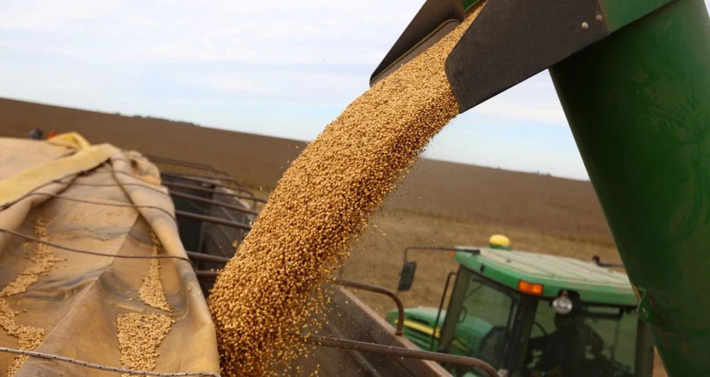 Milho dispara com exportações robustas dos EUA; trigo sobe com seca e preocupa mercado