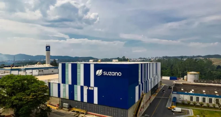 Suzano (SUZB3): Ações em Queda Livre Após Balanço Fraco; Câmbio e Custos Pesam no Resultado