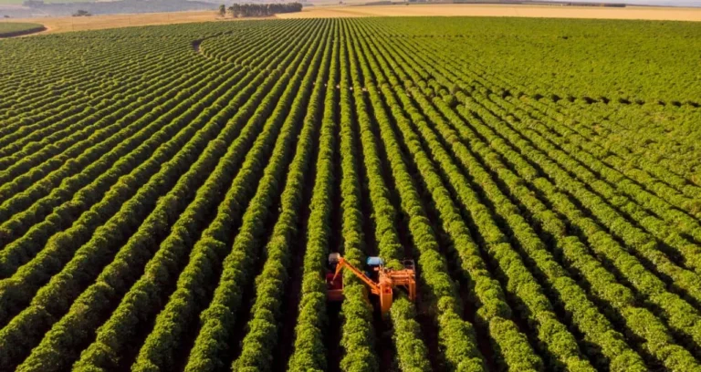 Banco do Brasil Supera R$ 3 Bilhões em Propostas na Agrishow, Reforçando o Apetite por Crédito no Agronegócio