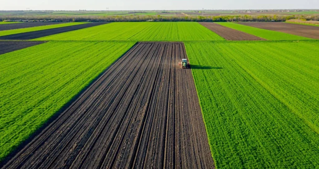 BrasilAgro (AGRO3): BTG Pactual Reafirma Compra e Vê Potencial de Alta de 29% Apesar de Trimestre "Fraco"