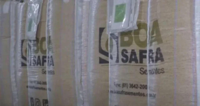 Lucro da Boa Safra (SOJA3) dispara 62% no 1T26, mas resultado operacional cai 36% sem efeito pontual