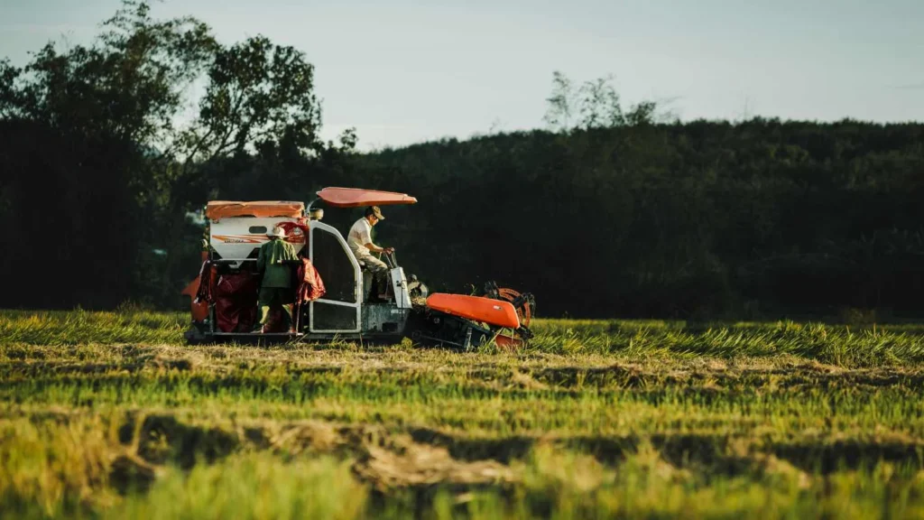 AGRO IMPULSIONA PIB DO BRASIL 2025: Setor salva economia enquanto consumo e indústria perdem força, aponta Banco Central