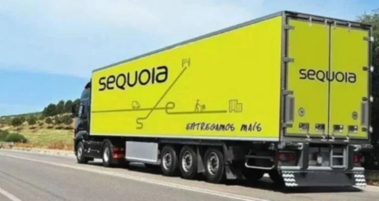 Sequoia (SEQL3) Reduz Prejuízo Contábil no 4º Trimestre, Mas Mercado Financeiro Enfrenta Cenário de Incertezas