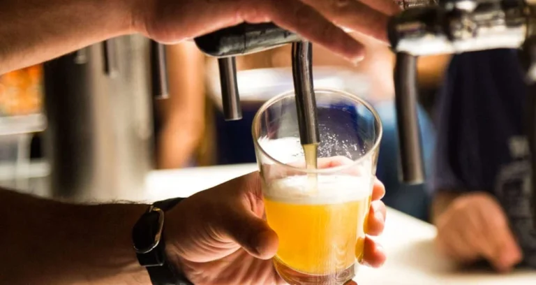 Catharina Sour: Como um Estilo de Cerveja Brasileiro Ganhou Destaque Mundial e Revolucionou o Mercado