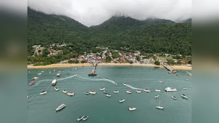Praia Famosa Cobra Taxa de Turistas: Conheça a Nova Regra e Outras Notícias Relevantes do Mercado Financeiro