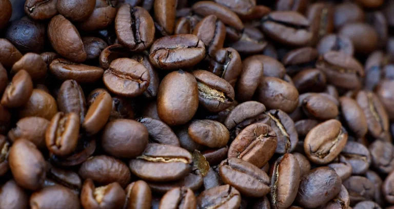Café Arábica em Queda Livre: Contratos Futuros Atingem Mínima de Ano e Meio na ICE com Previsão de Safra Recorde no Brasil; Açúcar Sobe