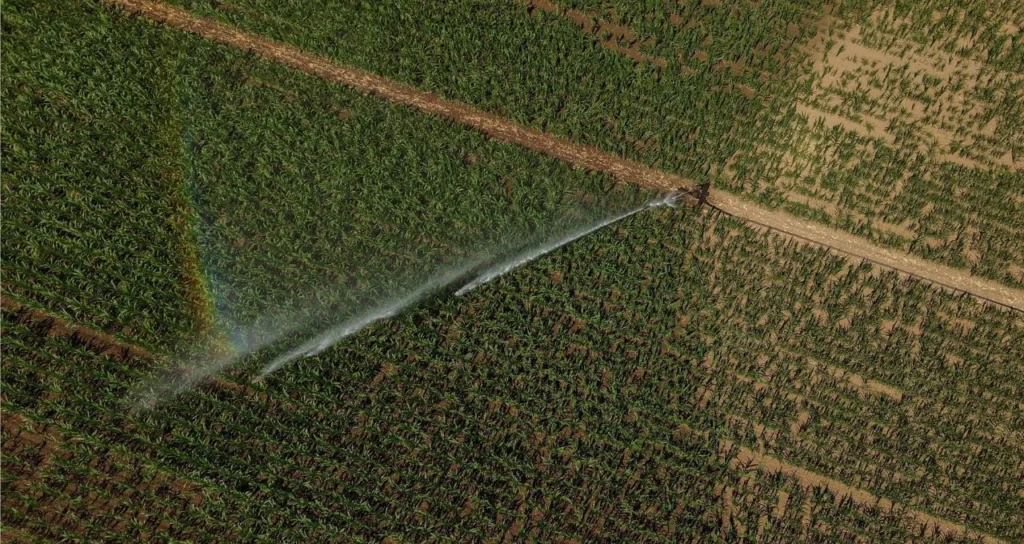 Trigo sobe com guerra na Ucrânia e projeções de estoques globais apertados